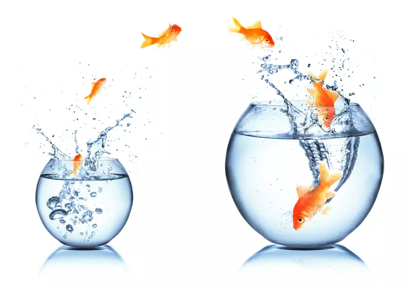 How to Coach Your Sales Team to Adapt to 3 Changing Market Realities