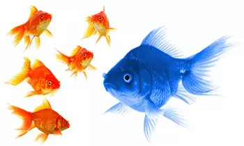 Seven Characteristics of the Most Successful Salespeople