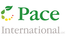 Pace International Logo