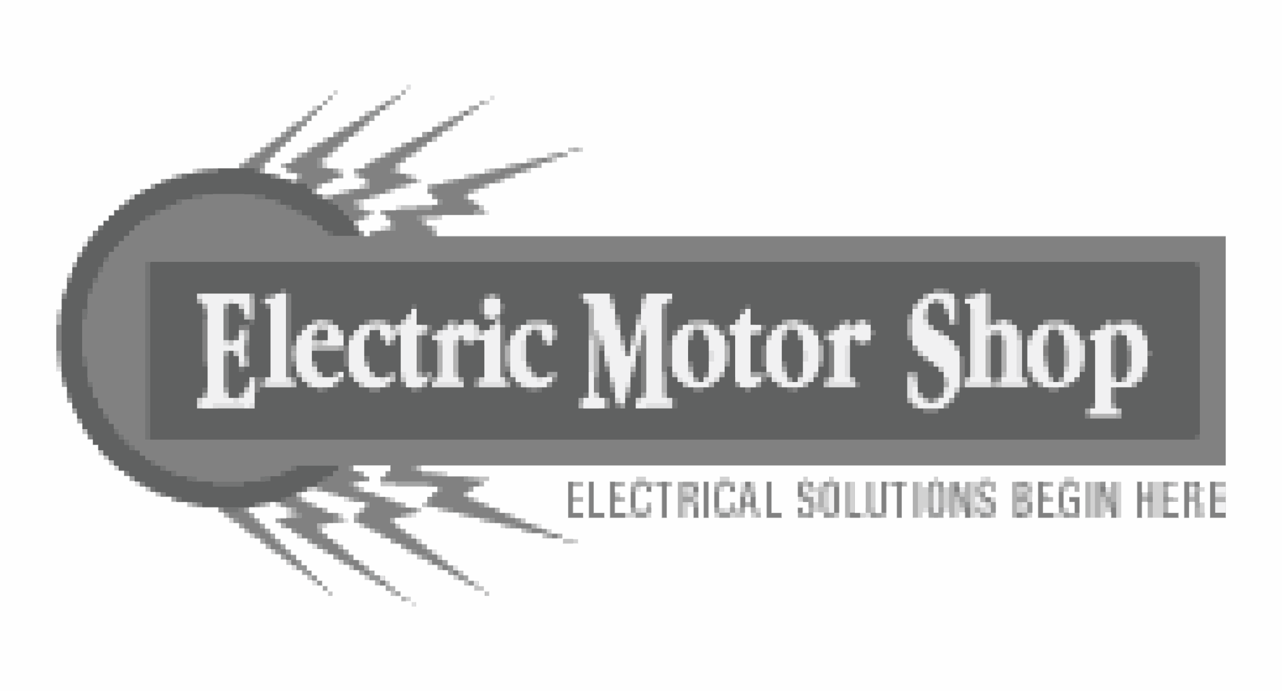 Electric Motor Shop