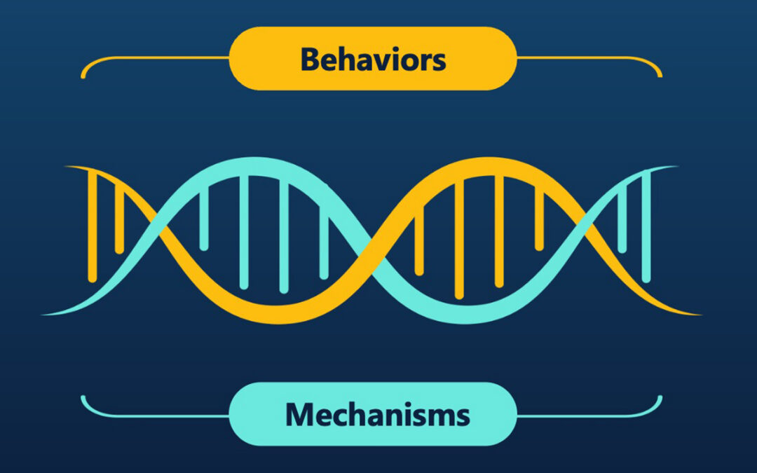 8 Behaviors That Drive Sales Outcomes