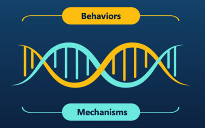 8 Behaviors That Drive Sales Outcomes