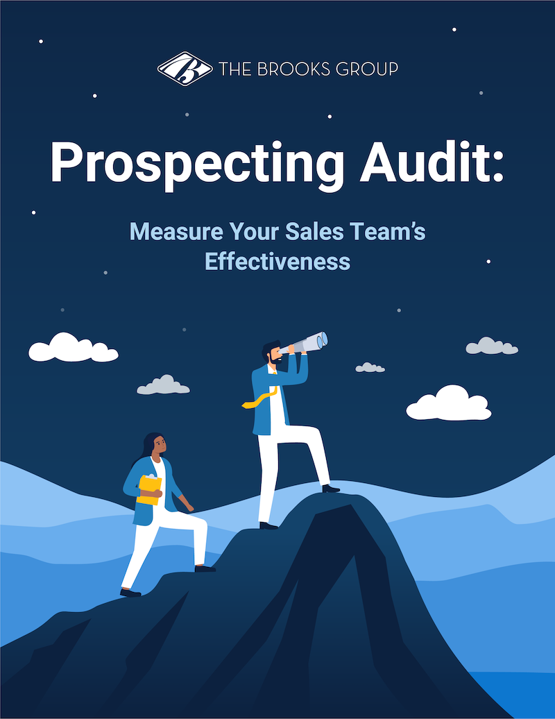 Sales Prospecting Audit